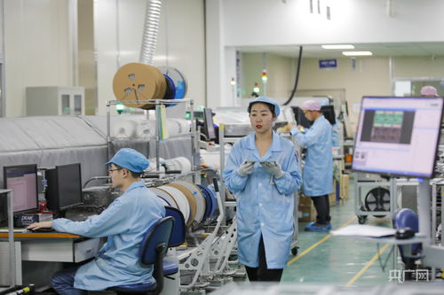 福州智造新引擎 產業智能化引領科技研發與網絡產品創新熱潮